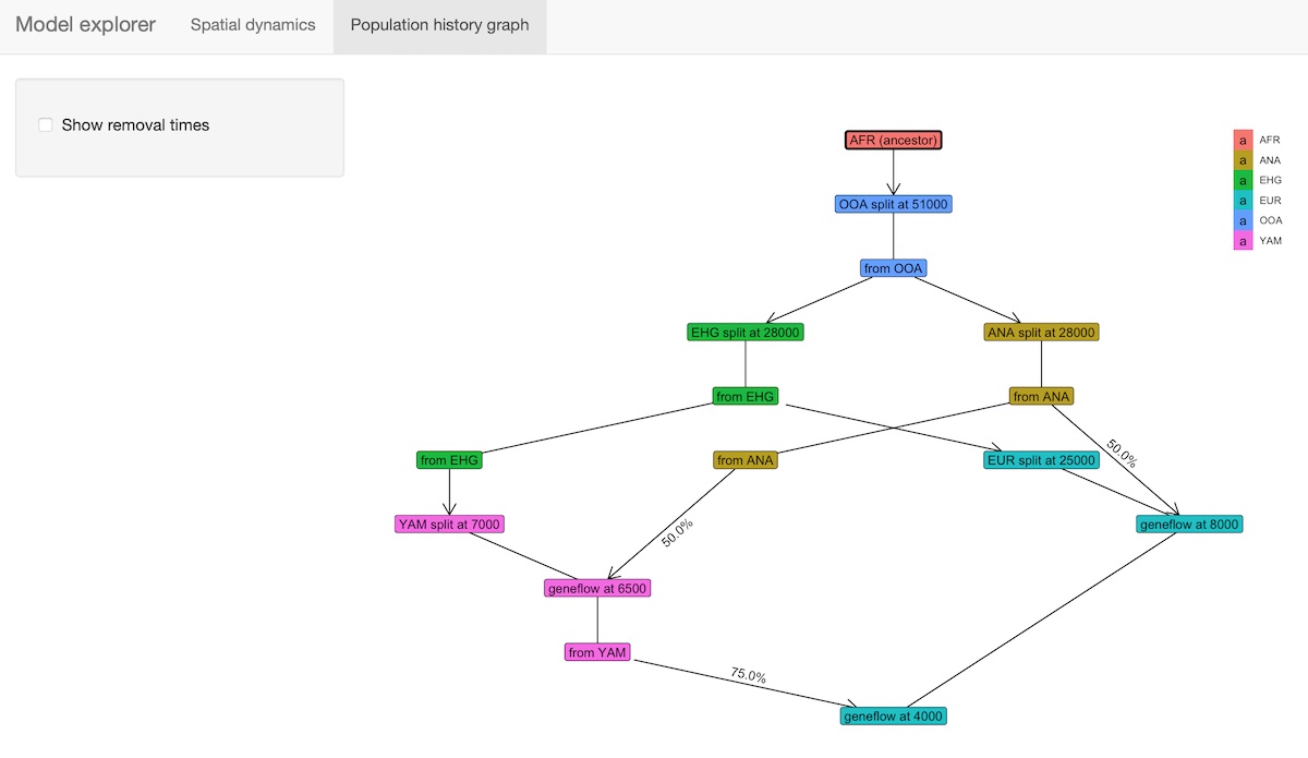 Graph of demographic history (sometimes called “admixture graph”)